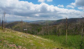 30 Sheep Horn Ct, Bellvue, CO 80512