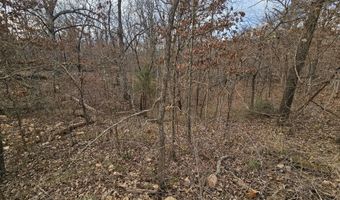 65 Acres Plainview Rd, Anderson, MO 64831