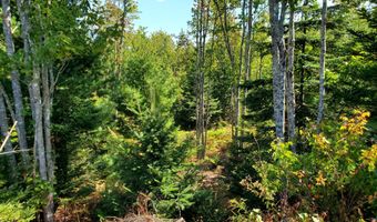 W McMann & Porcupine Hill Road lot 3, Addison, ME 04606
