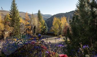 45 Highline Dr, Beaver Creek, CO 81620