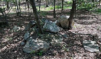 624 MOUNTAIN LION Ln, Augusta, WV 26704