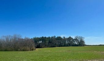 0 Tervin Mill Rd, Andalusia, AL 36421