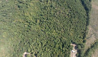 Cr 816, Blue Mountain, MS 38610