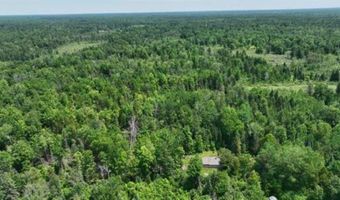 6002 Wildwood, Alger, MI 48610