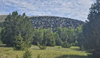 Nhn Lost Creek Rd, Anaconda, MT 59711