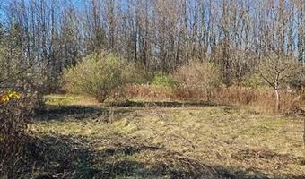 00 Hough, Almont, MI 48003