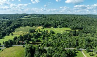 155 Hall Rd, Afton, NY 13730