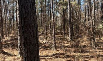 0 Mail Route Rd, Bonneau, SC 29431