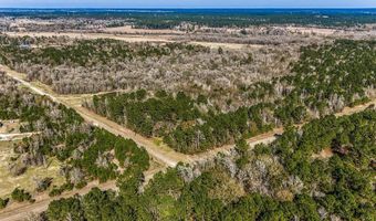 5280 Whitaker Way, Anderson, TX 77830