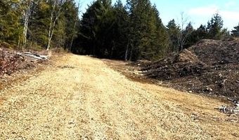 Milk Road lot 14, Alfred, ME 04002