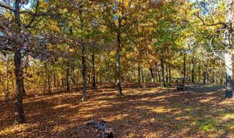55 65 & 125 B Rock Ln, Batesville, AR 72501