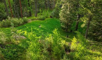 131 McCaffery Lookout Trl, Bigfork, MT 59911