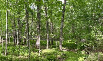 Old Farm Road, Burke, VT 05871