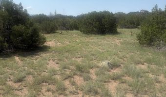 57 Navajo Dr, Concho, AZ 85924