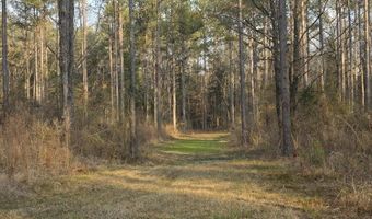 U.S. Highway 51, Bogue Chitto, MS 39629