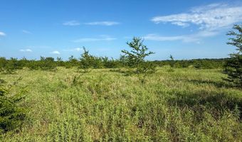 Tract 2 Highway 70 Acres, Bennington, OK 74723
