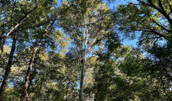 0 Lloyd Mill Rd, Andalusia, AL 36421