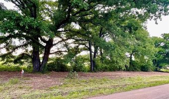 Lot 6 COUNTY ROAD 1560, Alba, TX 75410