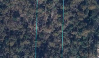 Drew Hall lot 9-10, Altha, FL 32421