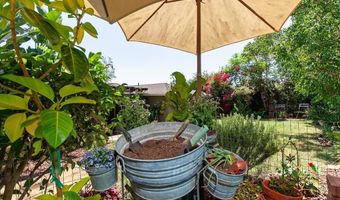 8420 Porter Hill Ter, La Mesa, CA 91942