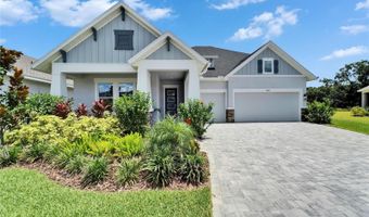 5971 HIDDEN BRANCH Dr, Apollo Beach, FL 33572