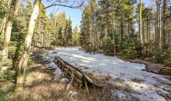 1004 And 1005 El Camino Real, Angel Fire, NM 87710