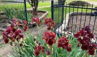 130 S Pine St, Arcola, IL 61910