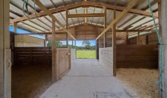 3551 NE 120TH St, Anthony, FL 32617