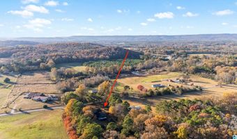 1790 RAY WYATT Rd, Ashville, AL 35953