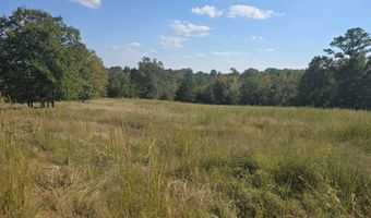 S80 Helt Rd, Antlers, OK 74525