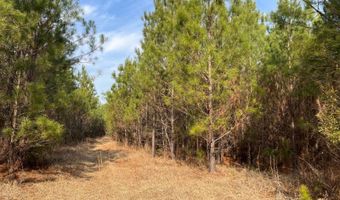 Cunningham Road, Bradley, SC 29819