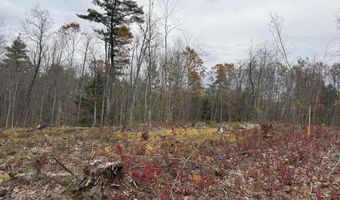 207-002 Washington St, Barrington, NH 03825