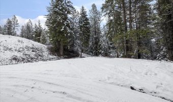 84 Hagans Hallow Rd, Careywood, ID 83809