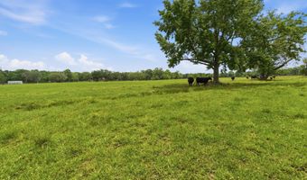776 Sand Pit Rd, Arnaudville, LA 70512