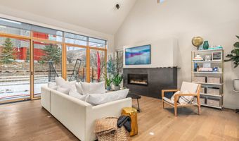 113 Valley Ct, Basalt, CO 81621