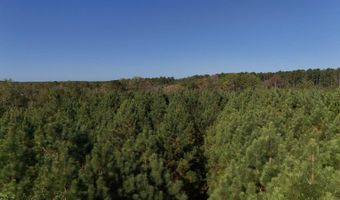 01 Goose Platter Rd, Batesburg, SC 29006