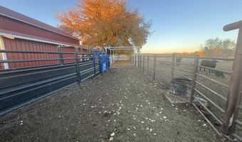 918 ROAD 4990, Bloomfield, NM 87413