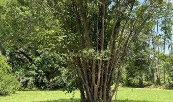 Marsalis Road, Arcadia, LA 71001