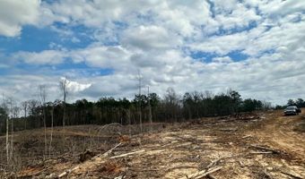 88 County Road 5345, Baldwyn, MS 38824