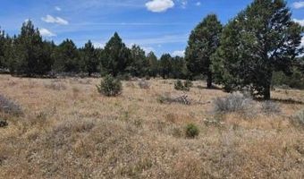 Pintail Dr, Alturas, CA 96101