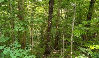 Caudill Road, Beattyville, KY 41311