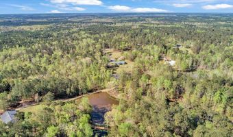 7025 Rance Perry Rd, Appling, GA 30802