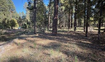 7 2190, Alpine, AZ 85920