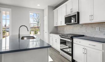 61 Hydrangea Ln Lot #75, Auburn, GA 30011