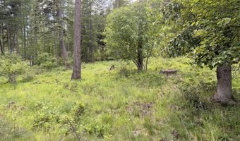 NNA Glacier Loop, Bayview, ID 83803