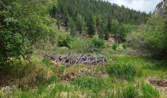 Lots 1-4 block 4, Bonanza, CO 81155