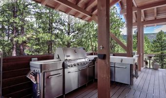 21 Trevino Cir, Angel Fire, NM 87710