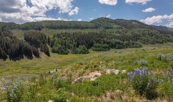 351 Meadow Dr, Crested Butte, CO 81224