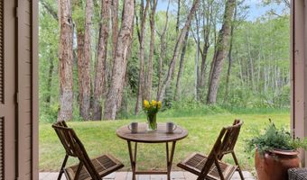 412 Vine St, Aspen, CO 81611