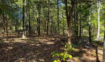 Castle Drive, Batesville, AR 72501